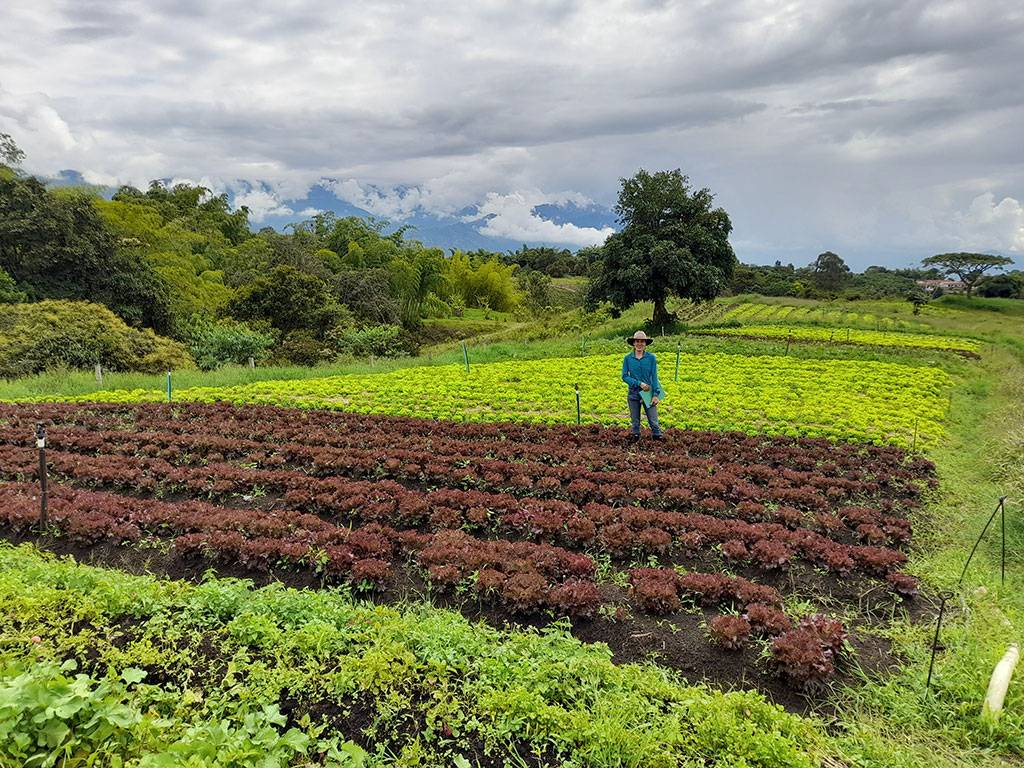 Agricultura local y a pequeña escala la vía de Veko hacia una