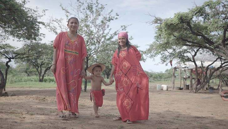 Secreto ancestral, Comunidades indígenas comparten sus conocimientos medicinales