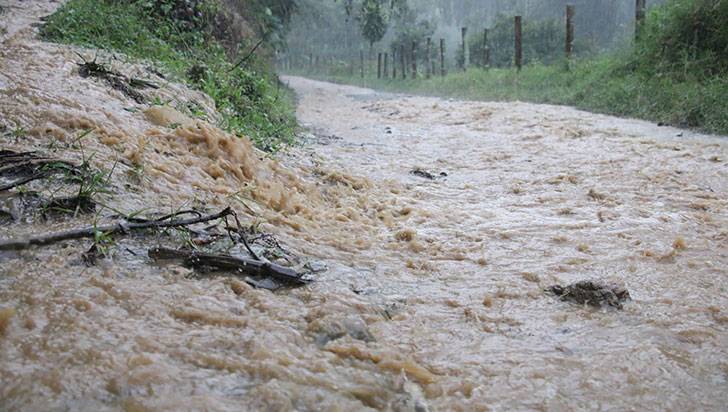 Lluvias en el Quindío no dan tregua: crecientes, destechamientos y vías cerradas