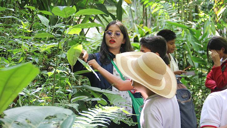 Explorando Patrimonios impactará a 9.000 niños para que conozcan el Jardín Botánico