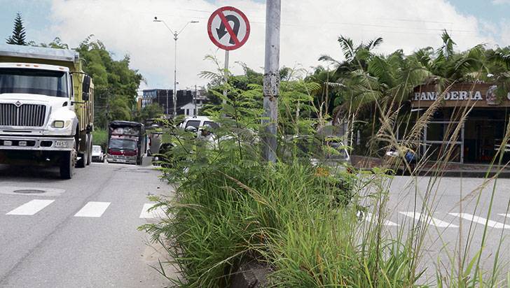 Mujeres jardineras la apuesta para recuperar separadores, parques y glorietas