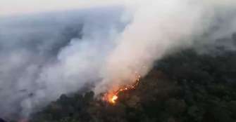 Disidencias de las Farc provocan incendios que arrasan bosques de La Macarena