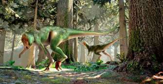 El dinosaurio que cojeaba hace 150 millones de aÃ±os