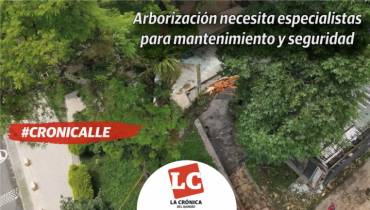 #Cronicalle | Arborización necesita especialistas para mantenimiento y seguridad