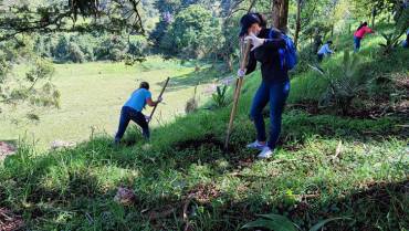Con siembra de especies forestales se busca preservar humedal en Quimbaya