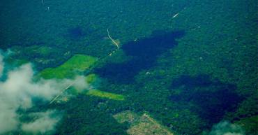 La Amazonia se acerca a un punto de no retorno para convertirse en una sabana