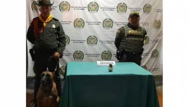 El perro Maudie, de la Policía, halló  granada en zona boscosa de La Tebaida