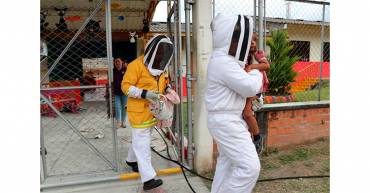 Ataque de abejas en un jardín infantil: 10 personas lesionadas