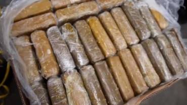 Incautan en Urabá 1,6 toneladas de cocaína escondidas en cajas de bananos