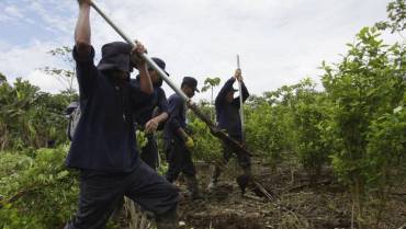 Producción de cocaína en Colombia, por las 'nubes' 