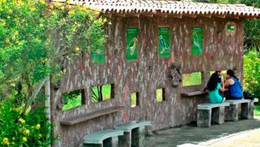 ¡Está en el Eje Cafetero! Así es el primer observatorio urbano de aves de Colombia