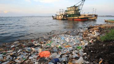 El océano en emergencia: la crisis del plástico