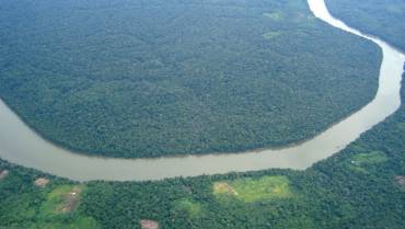 La Inteligencia artificial llega a la Amazonía  para monitorear su biodiversidad