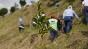 Colombia, el país más 'letal' para defensores ambientales: ministra de Ambiente lamenta la "vergonzosa" cifra