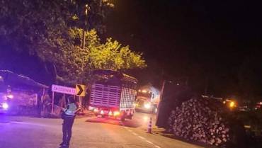 Volcamiento de camión cerca a El Alambrado no dejó personas lesionadas