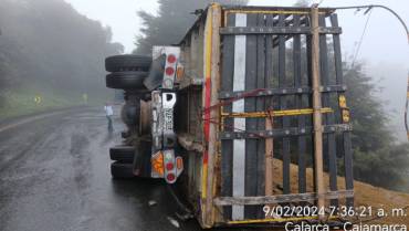 Un camión que transportaba ganado se volcó en La Línea